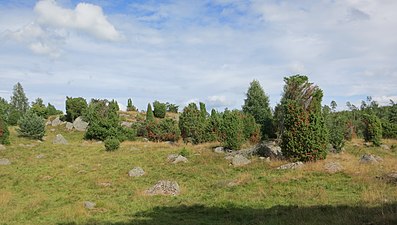 Hollandsbjär naturreservat