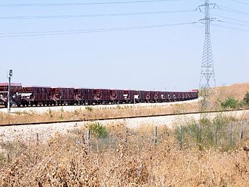 קרונות תפזורת להובלת רבד