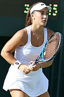 Danka Kovinić, tennis player