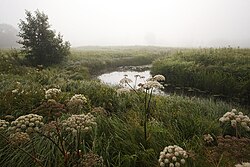 Mädara river in Mädara village