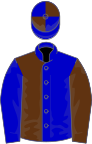 Blue and brown (halved), reversed sleeves, quartered cap