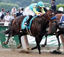 Bay racehorse with rider in turquoise and yellow silks