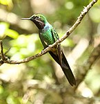 Utuana Reserve - Ecuador
