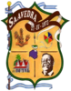 Official seal of Saavedra