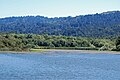 Une partie du lac Searsville et de la réserve naturelle.