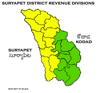 Kodad revenue division in green