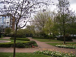 St Thomas’ Peace Garden