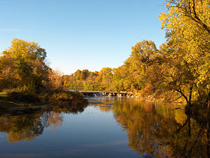 Warrenville Grove Forest Preserve on the West Branch of the DuPage River.