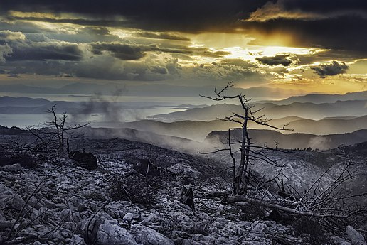A recently burned-down forest on Parnitha Mountain, Greece Photo by Stathis floros