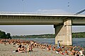 Liberty Bridge from Štrand, August 2008