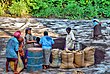 കുരുമുളക് സംഭരണ കേന്ദ്രം. അങ്കമാലിയിൽ നിന്നുള്ള ചിത്രം.