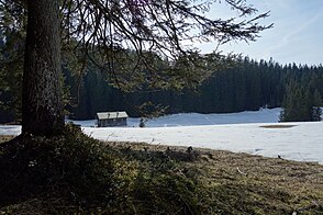 Auf der Anthauptenalm