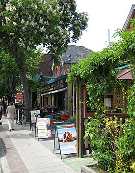 Shops along Baldwin St