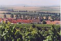 View over Welgesheim