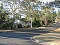 Patey Street, a residential street in Campbell