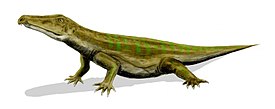 Реконструкция Chasmatosaurus yuani