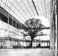 One of three English elms (lower branches removed) around which the Crystal Palace was built for the Great Exhibition, 1851[75]