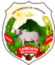 Camoapa – Stemma