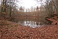 Märchensee im Leinawald