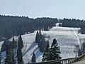 Der Feldberg im Schwarzwald