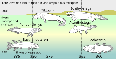 Vertebrati del tardo Devoniano