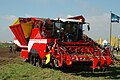 Grimme Maxtron 620, cukorrépa kiszedő