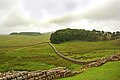 Blick von der Nordmauer des Kastells Housesteads auf den nach Osten verlaufenden Hadrianswall.