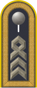 Dienstgradabzeichen auf der Schulterklappe der Jacke des Dienstanzuges für Luftwaffenuniformträger.