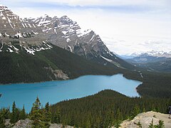 Peyto Lake, Alberta