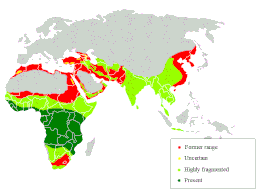 Répartion des lions dans le monde