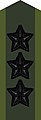 Collar patch m/58 (black m/02) on field uniform M90 (2002–present)
