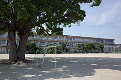 大村市立西大村小学校