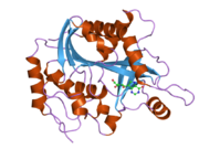 2on6: Crystal structure of human purine nucleoside phosphorylase mutant H257F with Imm-H