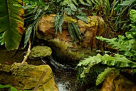 Serre subtropicale : cascade.