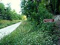 Route forestière de la Sygrie (Forêt de Verrières, Châtenay-Malabry)