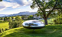 Shannon, Drop, 2009, Stainless steel, Chateau La Coste, France.