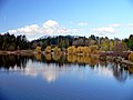 Lost Lagoon.