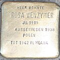 Rosa Wenzymer