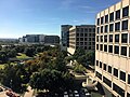 University of Texas Southwestern Medical Center