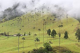 Quindío