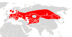 Distribución del murciélago bicolor