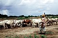 2006年10月1日 (日) 09:38時点における版のサムネイル