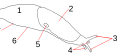 Миниатюра для версии от 22:39, 16 ноября 2006