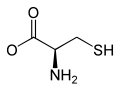 Минијатура за верзију на дан 17:47, 8. јул 2008.