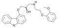 Минијатура за верзију на дан 10:29, 4. јануар 2007.