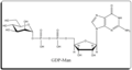 2009년 4월 15일 (수) 05:00 판의 섬네일