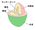 2004年9月3日 (金) 14:05時点における版のサムネイル