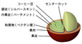 2004年11月20日 (土) 16:45時点における版のサムネイル