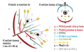 Vorschaubild der Version vom 12:29, 28. Aug. 2013