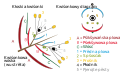 Vorschaubild der Version vom 12:49, 28. Aug. 2013